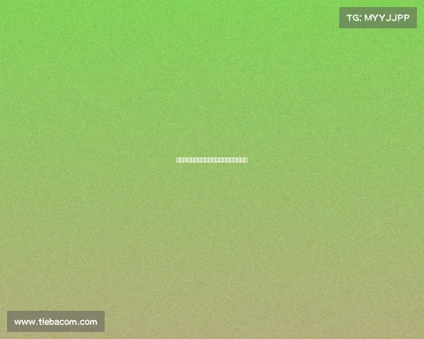 中网赛事咨询电话、中网赛事咨询电话是多少